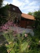Top Lopatinec