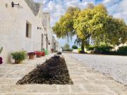 Top Alberobello