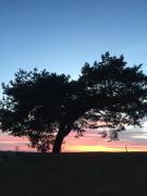 Top Wólka Ratowiecka