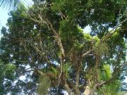 Casa Alegria, Piscina, 10 Hóspedes, 3 Suítes e Churrasqueira