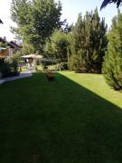 Top Bled