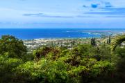 Top Kailua-Kona
