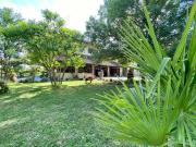 Top Magliano Alfieri Top Magliano Alfieri