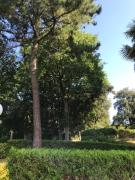 Top Vaux-sur-Mer
