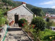 Top Valadares Top Valadares