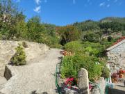 Top Valadares Top Valadares