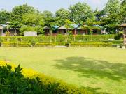 Top Mansar