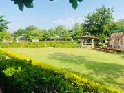Top Mansar