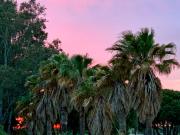 Top Chiclana de la Frontera Top Chiclana de la Frontera