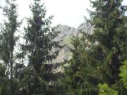 ANTICO BORGO MONTANO