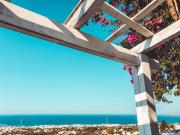 Executive Junior Suite with Balcony Full View