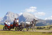 Top Alpe di Siusi