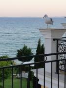 Top Sveti Vlas