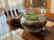 Top Copiapó Top Copiapó