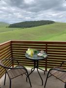 Top Zlatibor