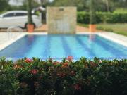 Top Carmen de Apicalá