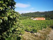 Casa da Portela - Sem Igual Casa da Portela - Sem Igual