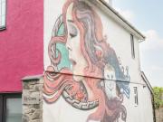 Ty Coets Coach House