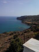 Top Koroni