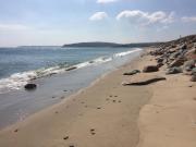 Top Pwllheli