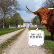 Top Bois-Normand-près-Lyre