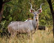 Top Magaliesburg
