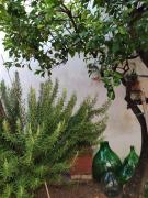 Top Cellino San Marco