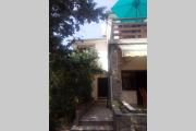 Top Krk