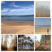 Top Onesse-et-Laharie