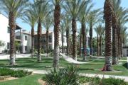 Top La Quinta