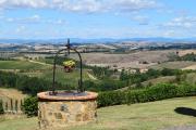 Top Montalcino