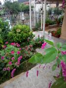 Top Agios Ioannis Peristeron