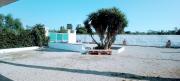 Top Baia Verde