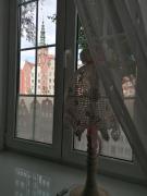 Top Gdańsk Top Gdańsk