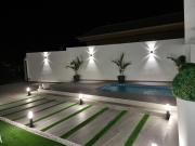 Top Arona