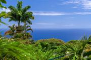 Top Kailua-Kona