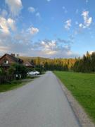 Top Lutowiska