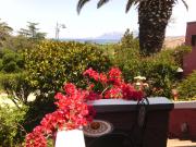 Top Olbia