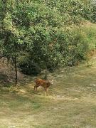 Top Madonna del Sasso