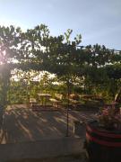 Top Császártöltés