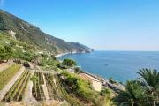 Top Corniglia