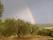 Top Monteriggioni