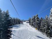 Top Shtarkelovo Gnezdo