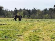 Top Saint-Nicolas-du-Pélem