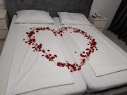 Top Sînnicolau Mare Top Sînnicolau Mare