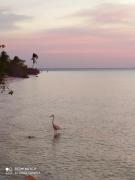 Mi habitat holbox-Maravilla natural