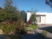 Top Santa Cruz Top Santa Cruz