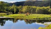 Top Fort Augustus