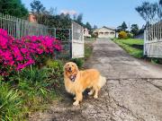 Top Bom Jardim da Serra