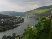 Top Zell an der Mosel